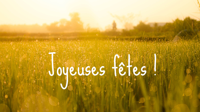 Ecole Azenday Formation Massage Paris Agréée Ffmbe